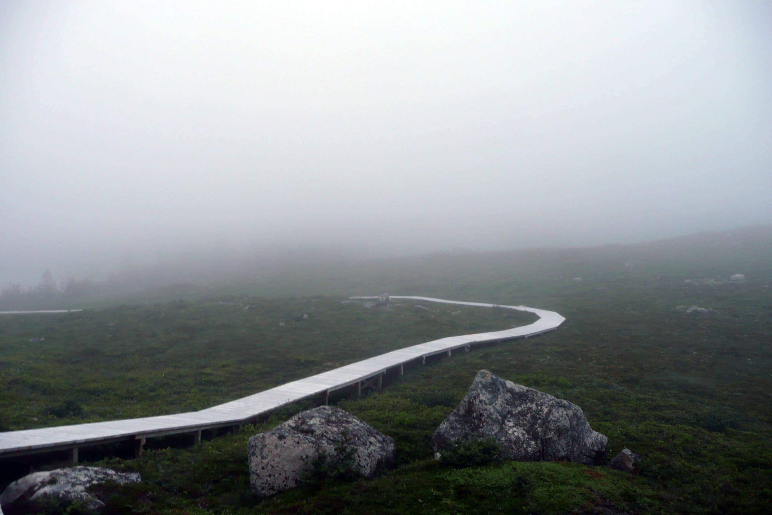 Artists' Cabin - Nova Scotia - Path To Cabin - Selldorf Architects