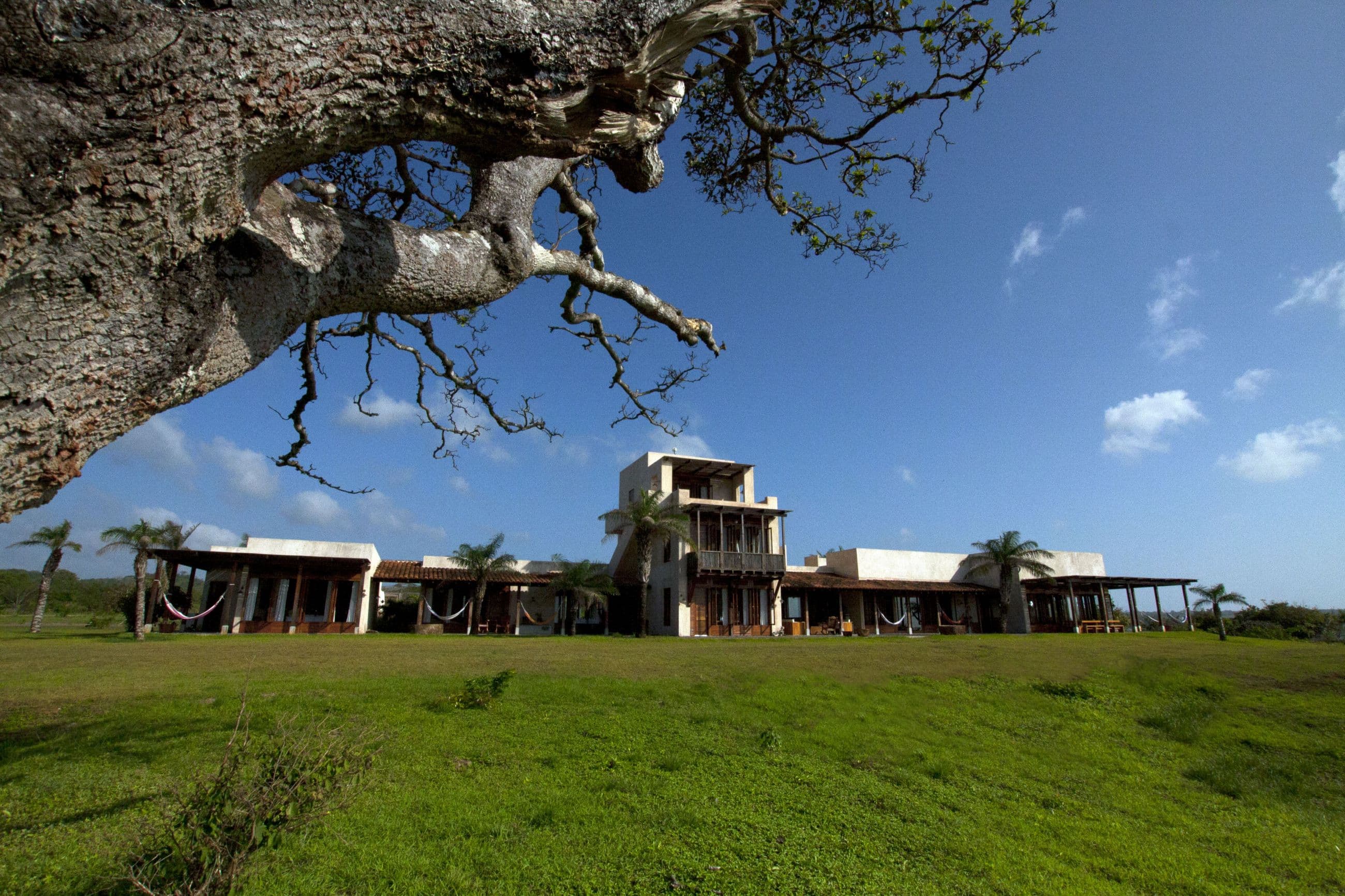 Ama Estancia - Pedasi Panama - Exterior - Selldorf Architects