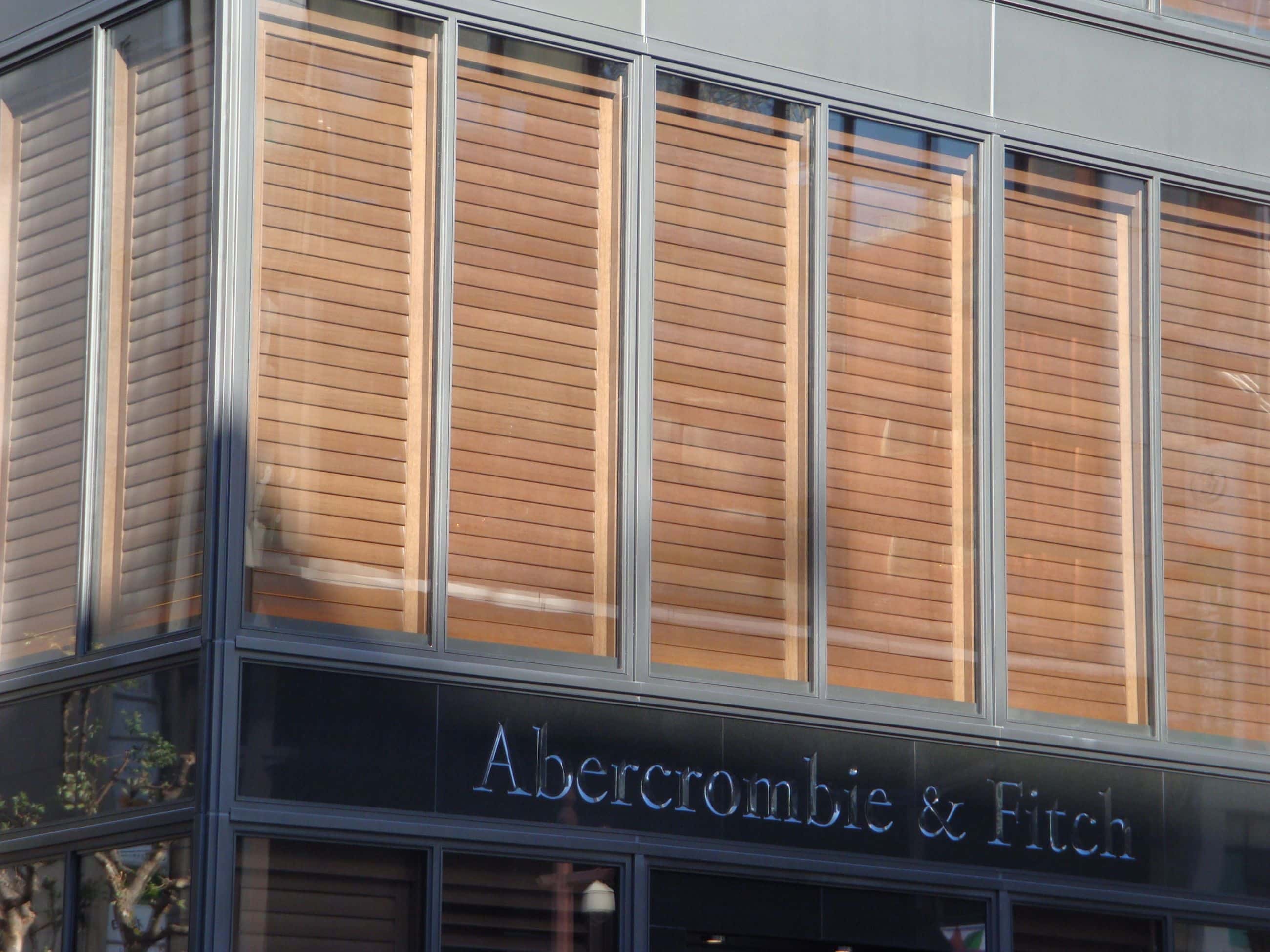 Abercrombie & Fitch Ginza - Tokyo - Exterior Facade Window Treatment - Selldorf Architects