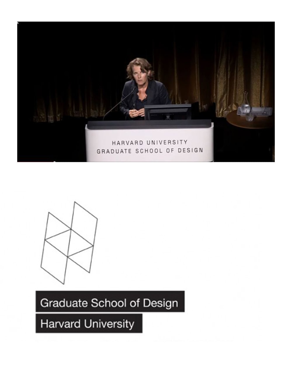 GSD Annabelle Selldorf Lecture Press Image