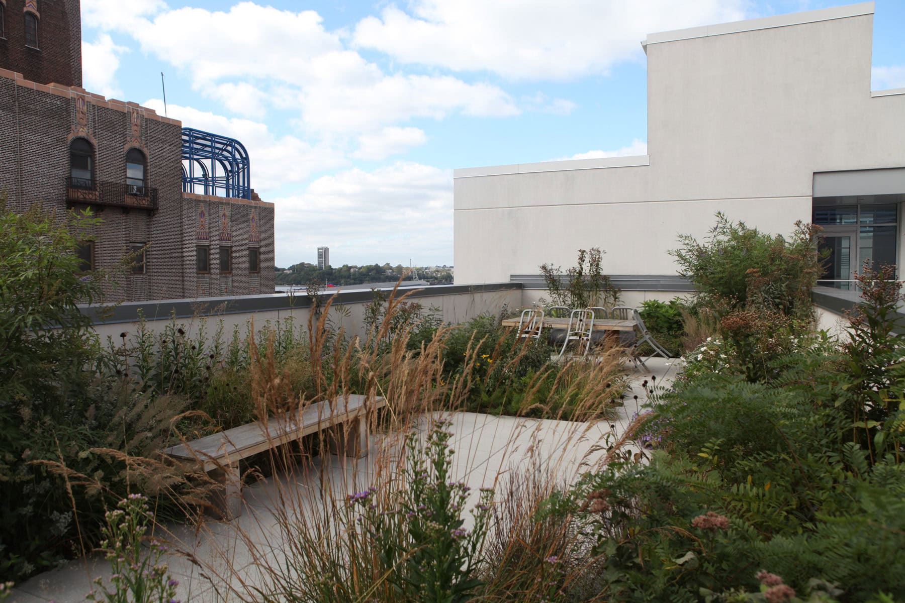 David Zwirner 20th Street New York - Terrace - Selldorf Architects