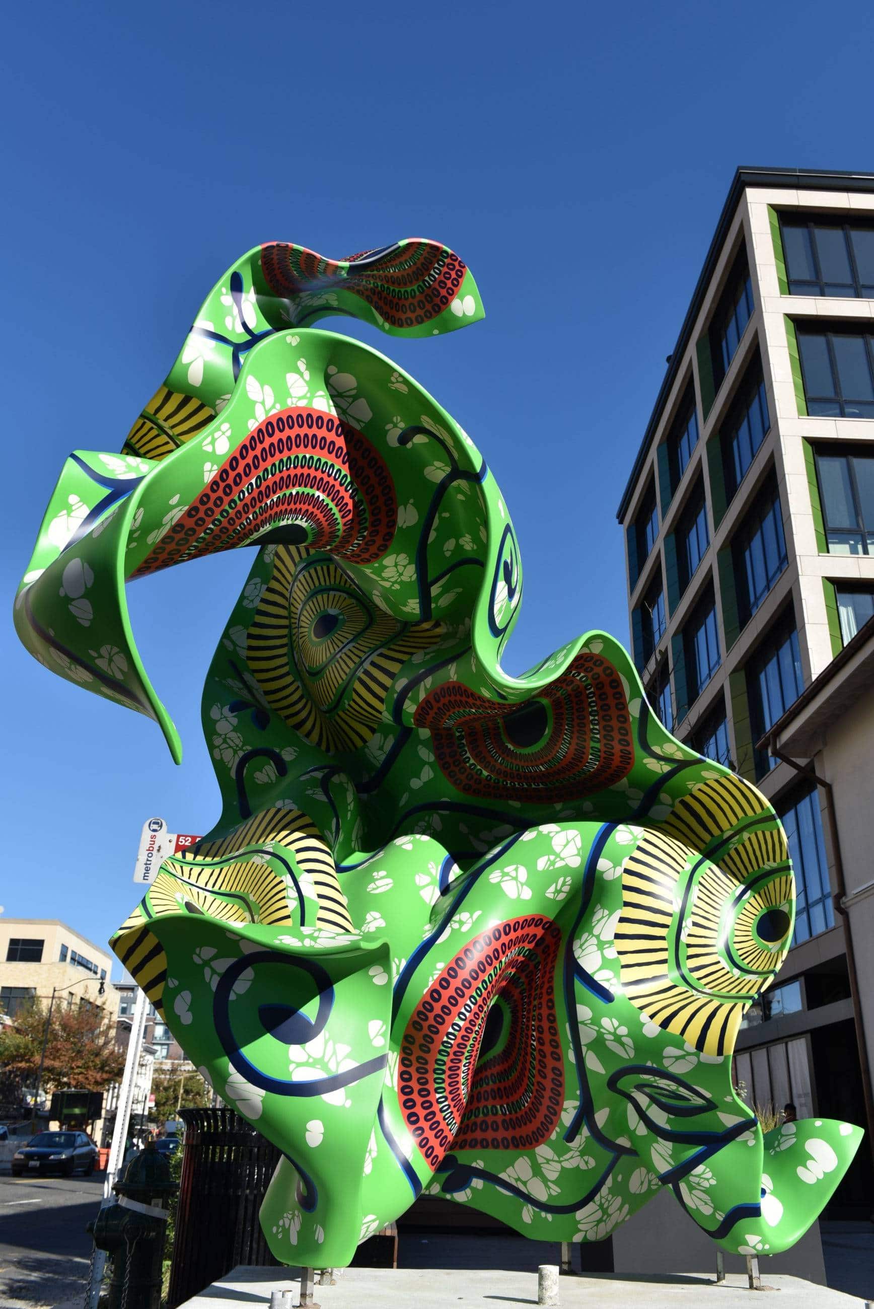 dsc 3852 e1573235577982