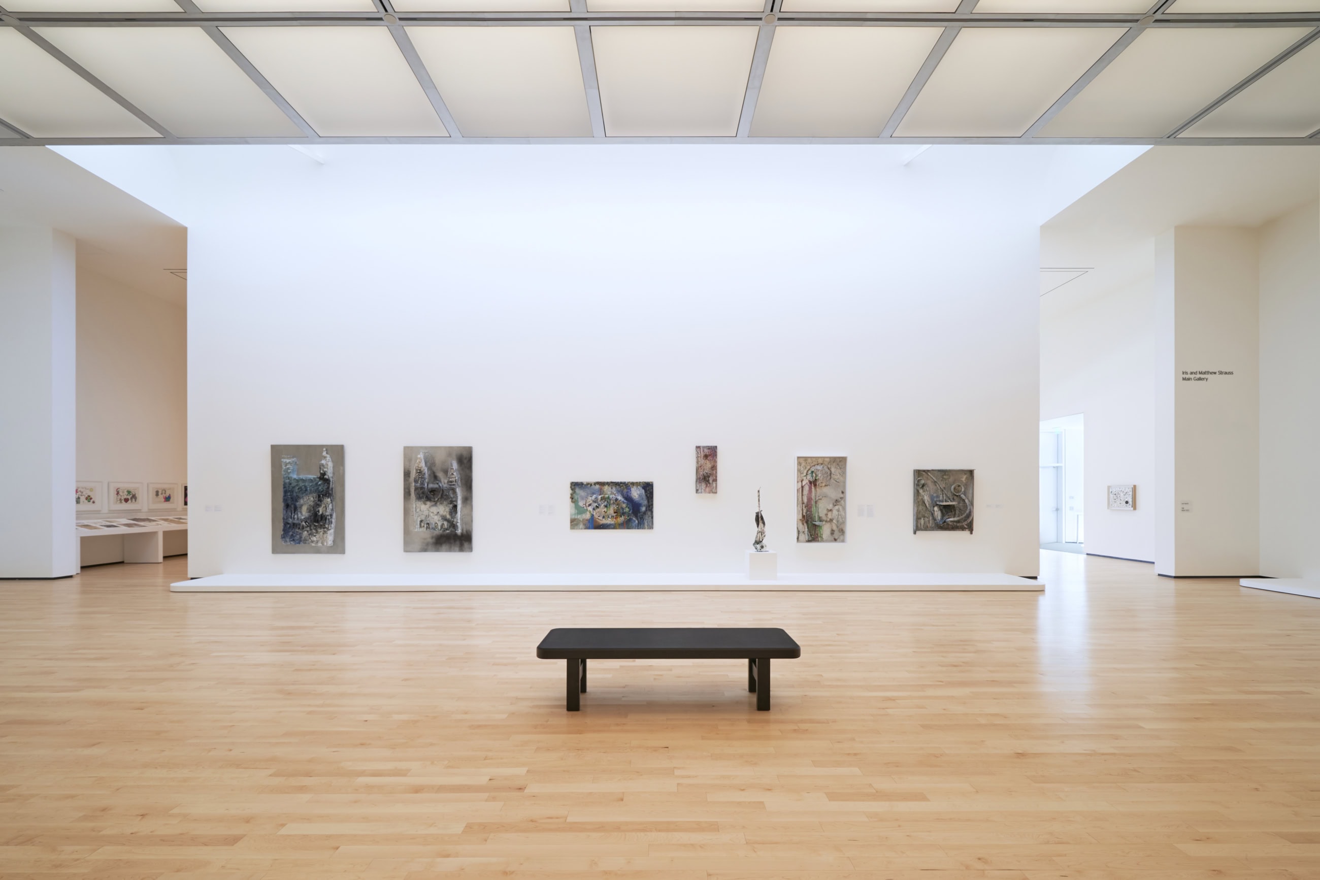 mcasd selldorf 25 maha bazzari