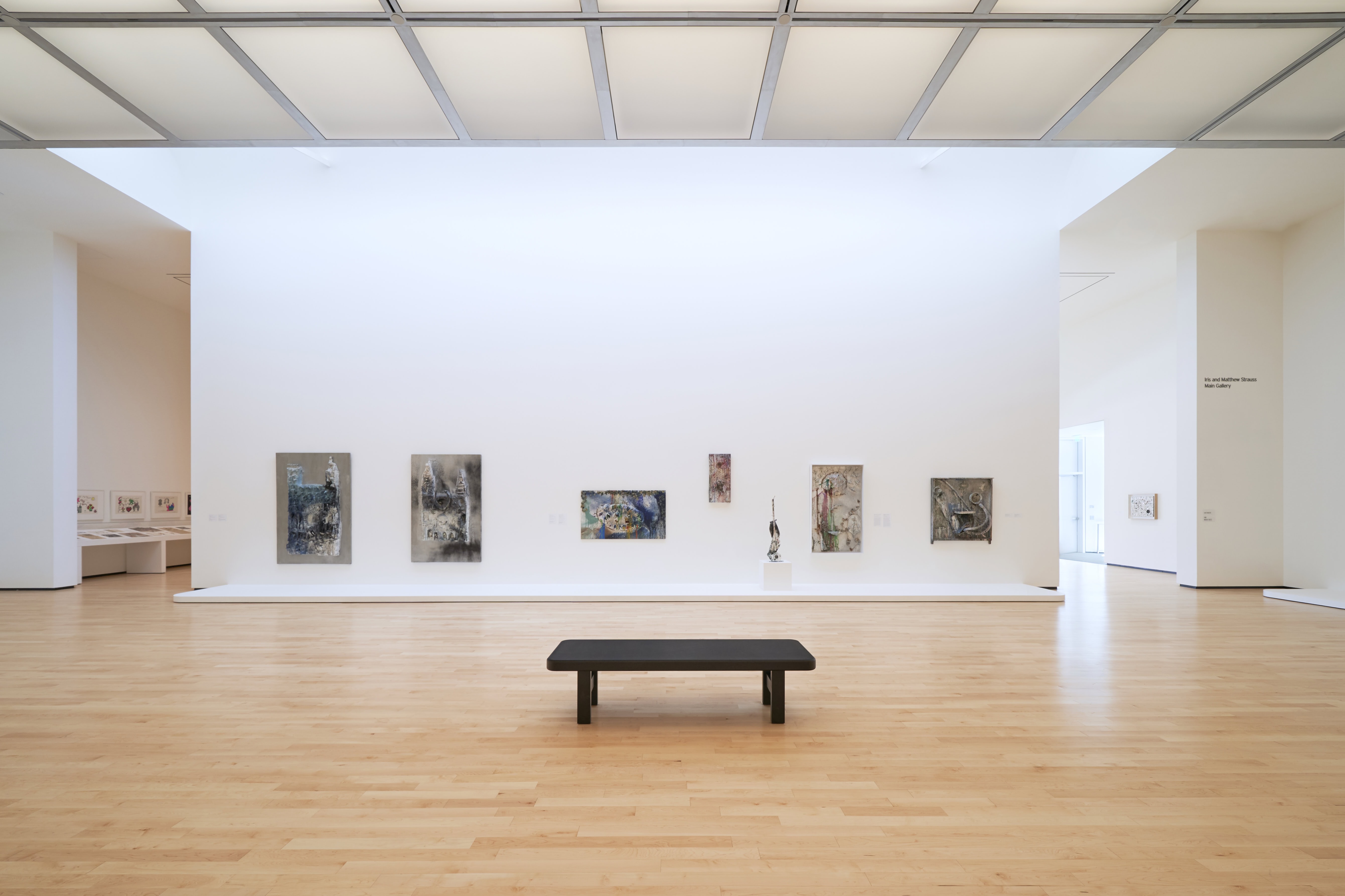 mcasd selldorf 25 maha bazzari
