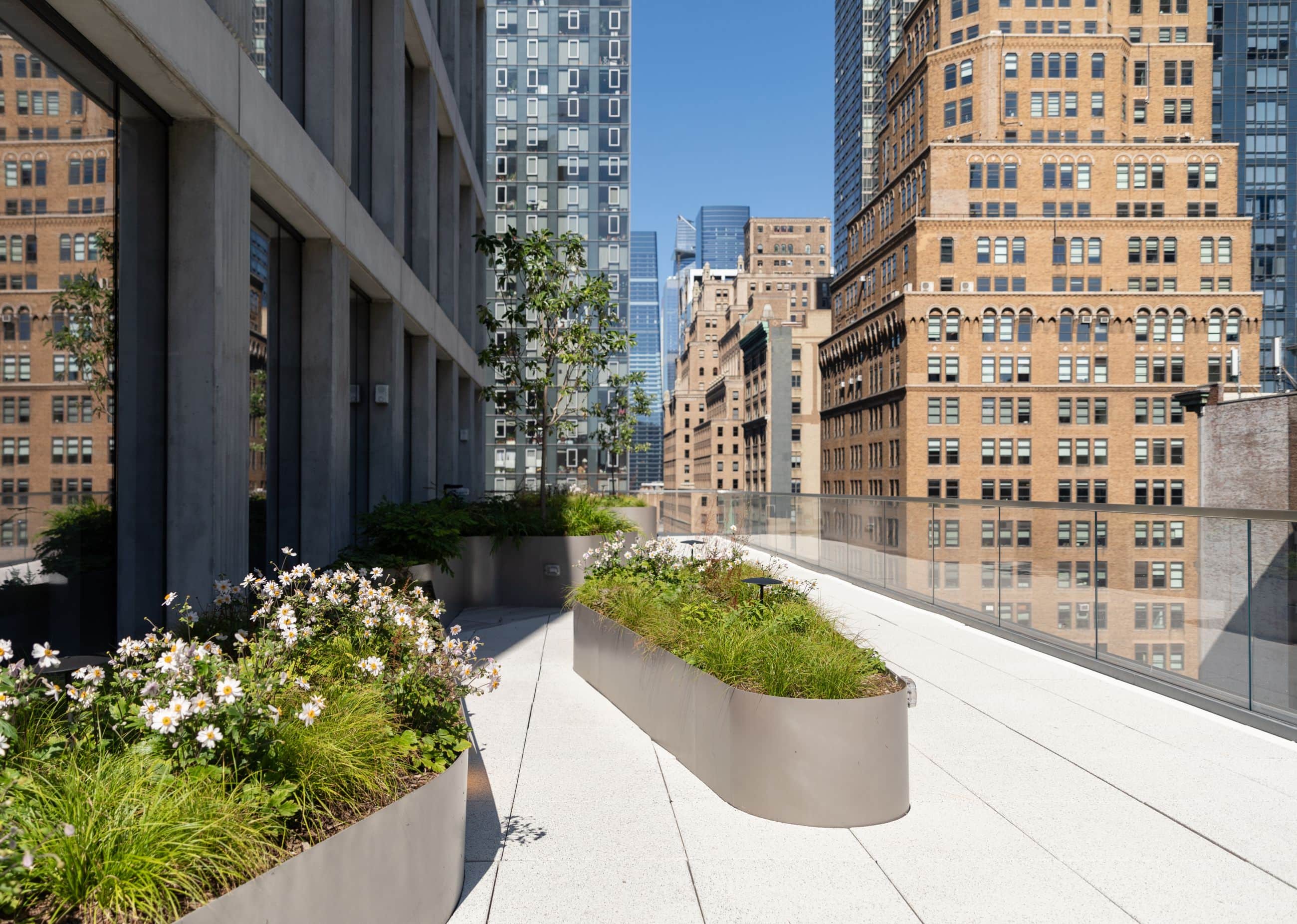 Entertainment Company Headquarters - Terrace - Selldorf Architects