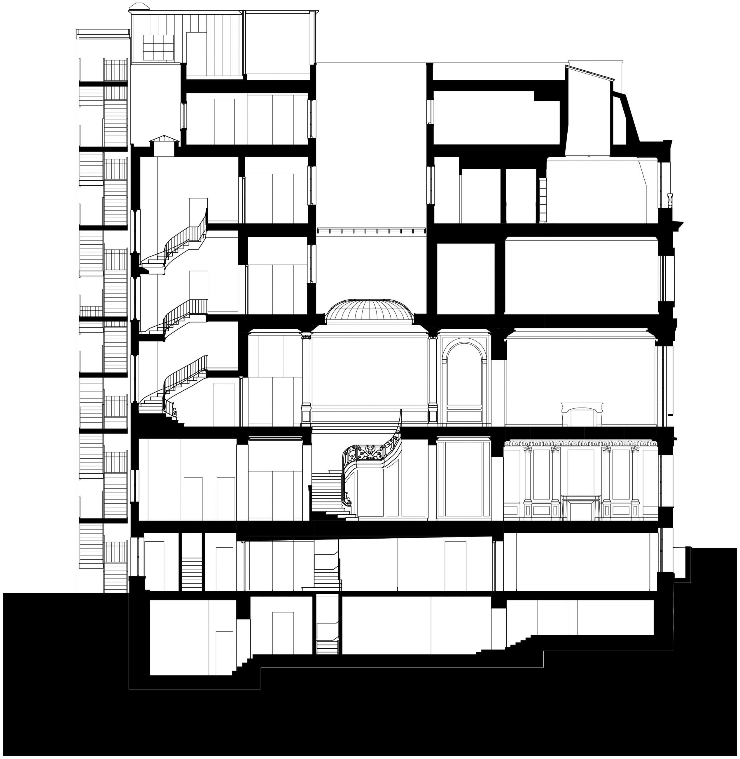 Neue Galerie - New York - Section - Selldorf Architects